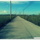 만경강길 1코스 이미지