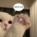 ‘결혼식보다 사진 먼저 결정한 사람?’ → 네, 접니다. 깨끗한화이트의 본식스냅 모노갤러리요