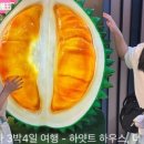몽스텔 네이버블로그