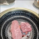 신도세기보라매 이미지