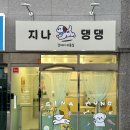 지나댕댕 이미지