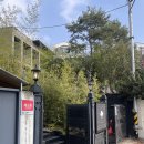 커피주의보 서울 이태원 경리단길카페 호우<b>주의보</b> 드립<b>커피</b> 추천