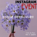 까사드플로라