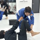 존프랭클 위즈덤 주짓수 이미지