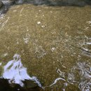 옛골가든 이미지