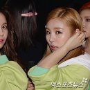 무스타 이미지
