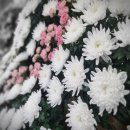 오산문화원 이미지