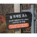 하담숲 이미지