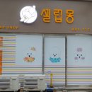말티와 꼬꼬 이미지