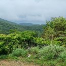 이목안포로 이미지