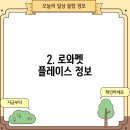 로와 펫 플레이스 이미지