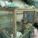 포시즌농장 이미지