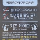 카페유교 이미지
