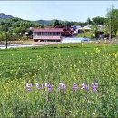 💞 ♣ 인천 강화 서해랑길 100코스 답사 걷기(2026/05/09/) ♠🫎 이미지