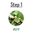 플라워송 이미지