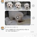 쥬만지동물의료센터 이미지