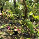 호철농장 이미지