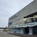 사천 아라마루 아쿠아리움 (; 빅2이용 후기
