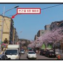 장자북로 이미지