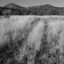 은광농장 이미지