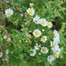 경안천누리길 이미지