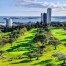 골프파라다이스 이미지