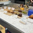 소문켄넬 | (제주에서) 2026년 2월 3주차 후기