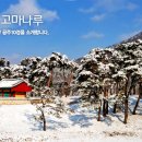 고마나루 - 공주10경 이미지