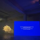 시루비아 이미지