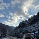 안성비봉산 캠핑장 | [자연휴양림 후기]안성서운산자연휴양림 숲속의집 비봉산