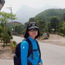 양기경로당 Daum카페
