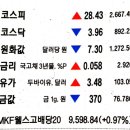 엠에스텔레콤 이미지