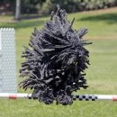 멍뭉 멍뭉 이미지