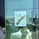 북끝서점 후기 고성 독립서점 추천