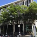 블루몽키 이미지