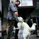아리랑목욕탕 | 잘있었냐 ! 보고 싶었어 ~ 자월도야 ! 드디어 왔다❤️