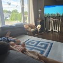 (주)플라이닥터 이미지