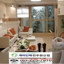개미파출부 이미지