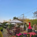 정원하우스 | [배다골 베이커리 하우스] - 부잣집 정원같은 고양 베이커리 맛집 내돈내산 후기