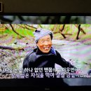 육지&해녀 이미지