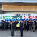 달코미양배추즙 말레이시아 첫 수출 이미지