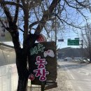 희수농장 | [세종 딸기 직판장]희수농장 스테비아딸기 가격 /내돈내산