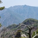 고견사주차장 이미지