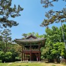 부여군청 광장 | [부여 여행] 부소산ㅣ부소산성 산성길 15지점 2.8km 1시간 걷기