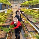 호천농장 이미지