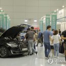 그린카 이미지