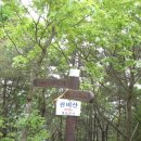 유등천 이미지