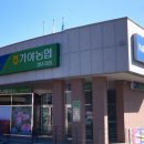 가야농협법수지점 네이버블로그