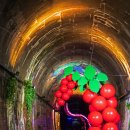 문경 오미자테마터널 이미지