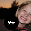 상상하는 지혜